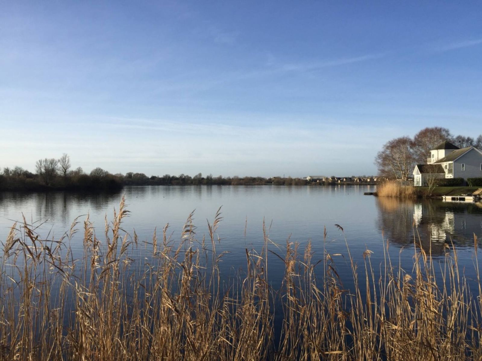 Reeds and still water on Bradleys Lake