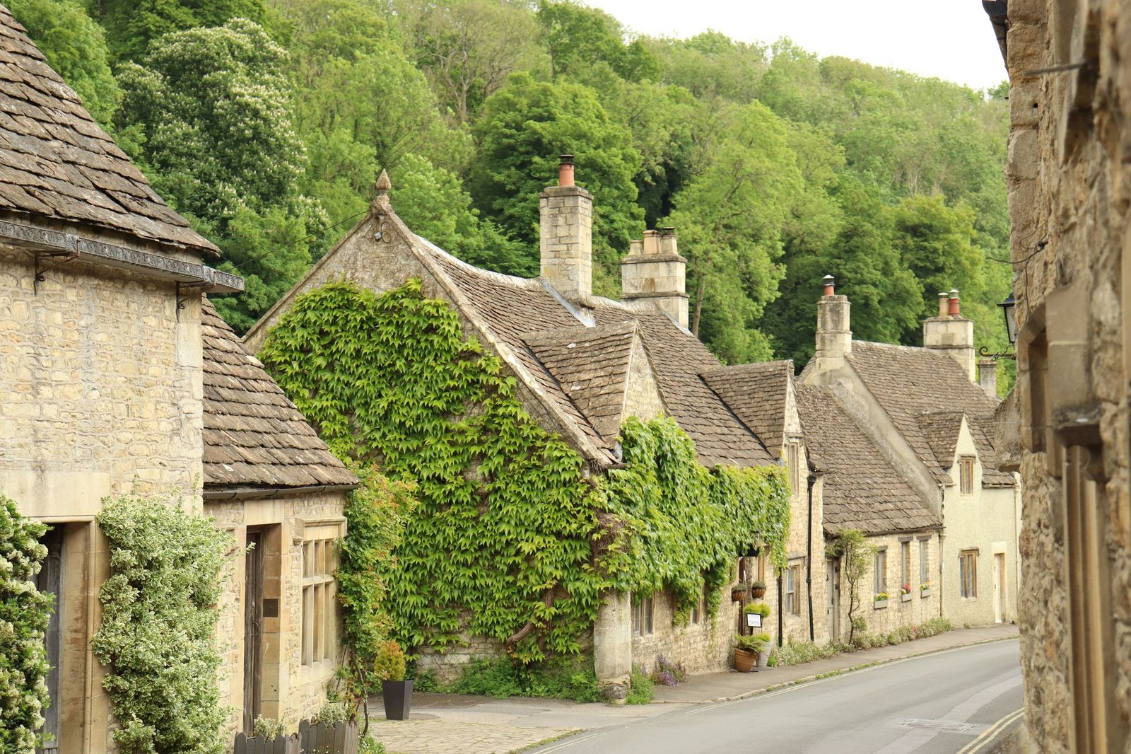 Ivy-covered honey-stone cottages on a Cotswold lane