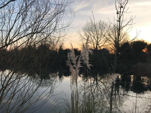 Cotswold Lakes in winter