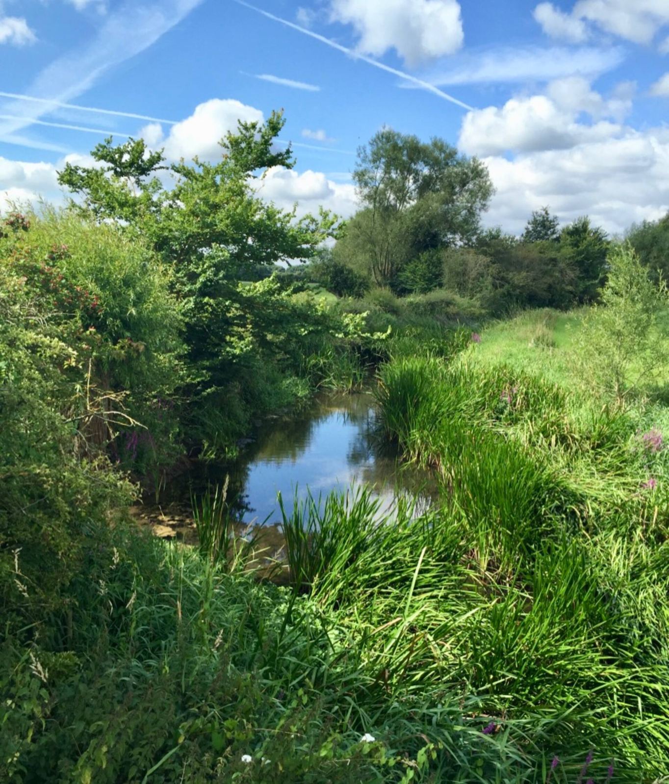 A narrow stretch of the upper Thames between green banks under a blue sky
